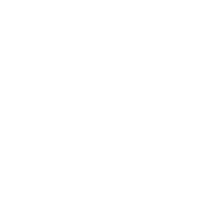 Vanegas